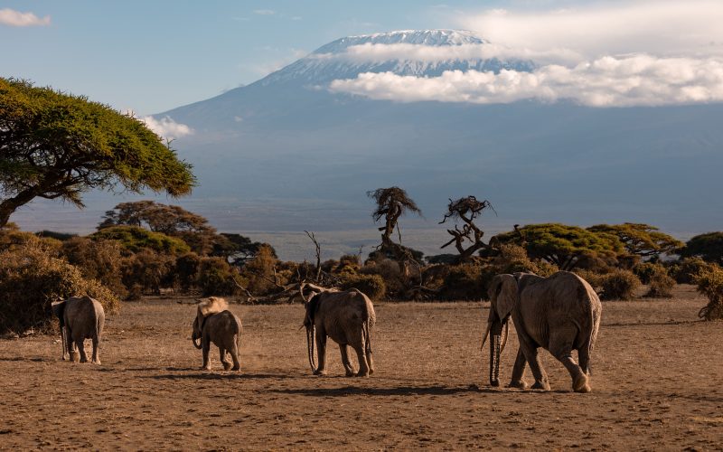 Best of East Africa