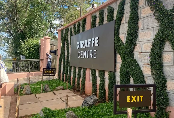 Private Giraffe Centre Tour Nairobi | Feed Rothschild’s Giraffes