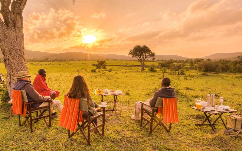 Luxury Wellness & Safari Retreat